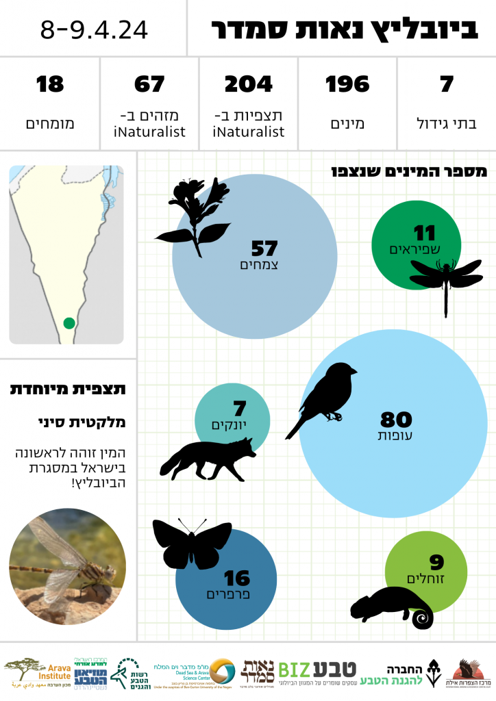 אינפוגרפיקת סיכום ביובליץ נאות סמדר 2024