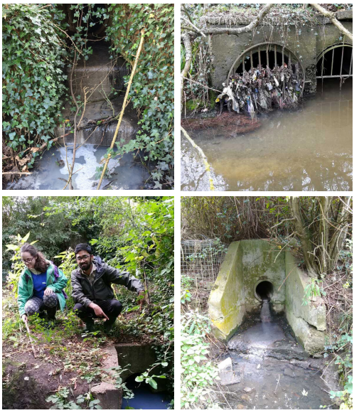 מיזם Outfall Safari