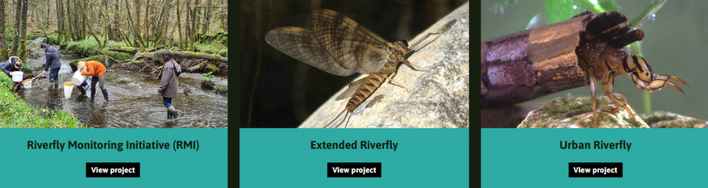 מיזמי The Riverfly Partnership