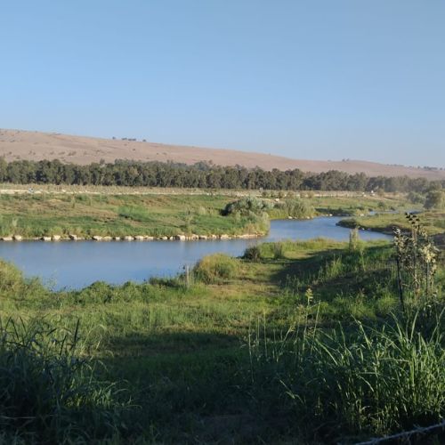 ניטור וממשק שיקום התעלה המזרחית בעמק החולה