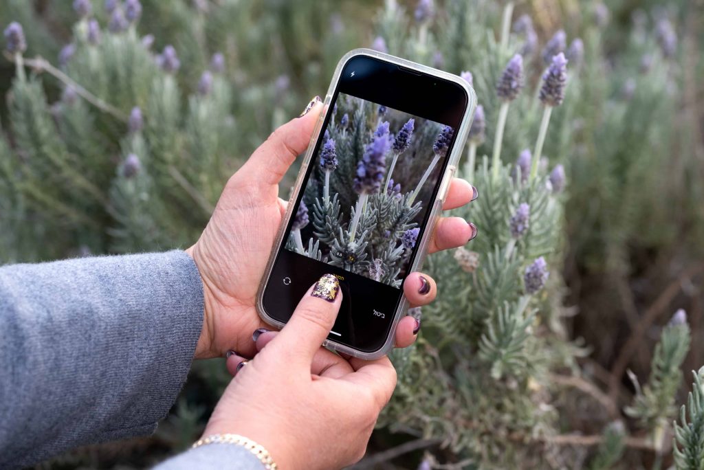 Photo: Submitting an observation on the iNaturalist app